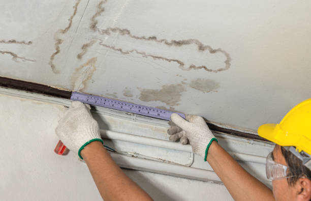 Reliable Water Damage contractor in Towson, MD by Water Damage Irwin